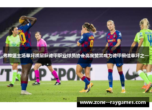 弗赖堡主场草坪质量获德甲职业球员协会高度赞誉成为德甲最佳草坪之一